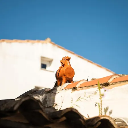 Casa Magar *